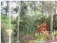 40 Palm Springs Drive, Calavos QLD 4670
