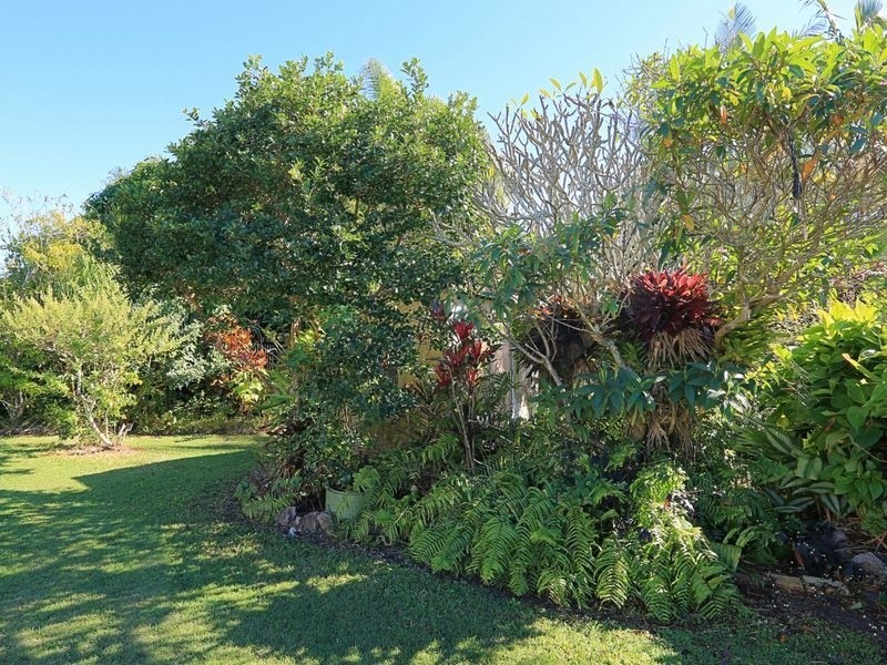 17 Lloyd Street, Walkervale QLD 4670