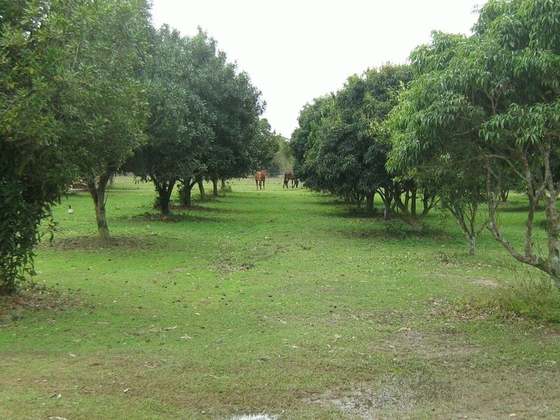 33 Von Deest Street, Kensington QLD 4670