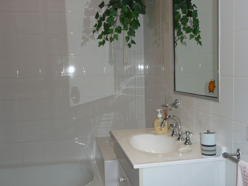 37 Brady Street, Avenell Heights QLD 4670