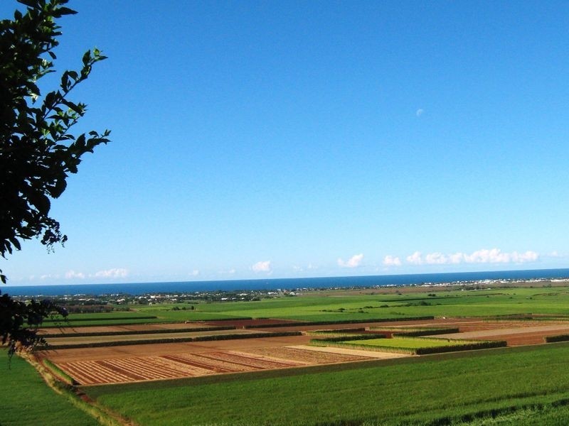 40 Rehbein Avenue, Qunaba QLD 4670