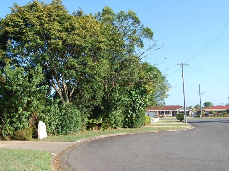 9 Hort Street, Avenell Heights QLD 4670