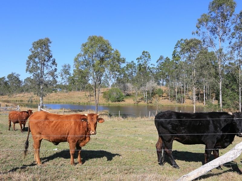 1 & 2/117 Rangeview Road, Gin Gin QLD 4671