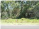 60 Palm Springs Drive, Calavos QLD 4670