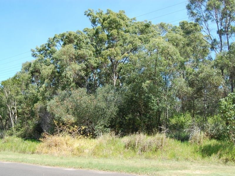 60 Palm Springs Drive, Calavos QLD 4670