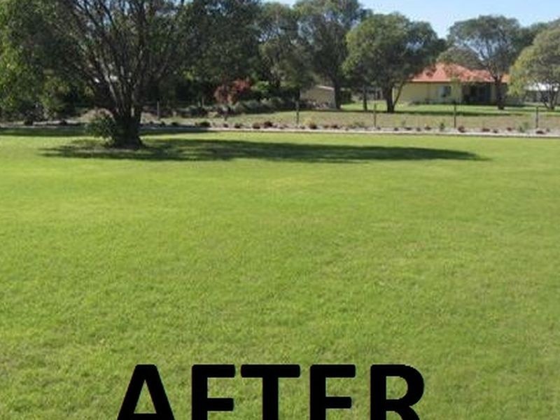 Queensland Spray On Grass, Bundaberg Central QLD 4670