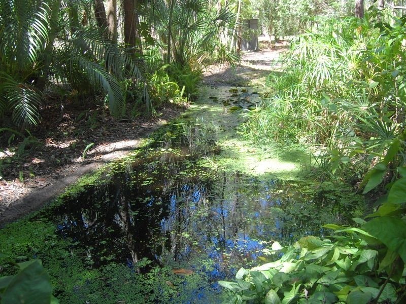 14 Hannah Court, Moore Park Beach QLD 4670