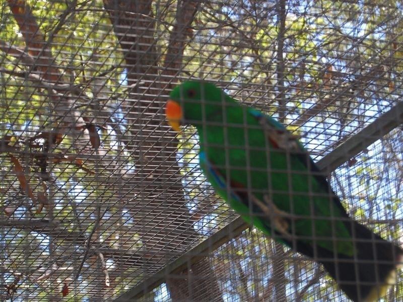 14 Hannah Court, Moore Park Beach QLD 4670