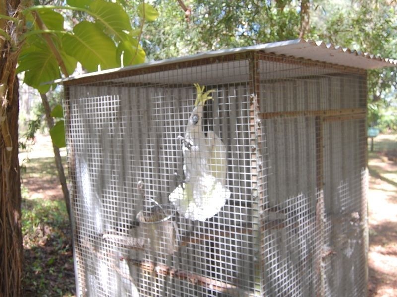 14 Hannah Court, Moore Park Beach QLD 4670