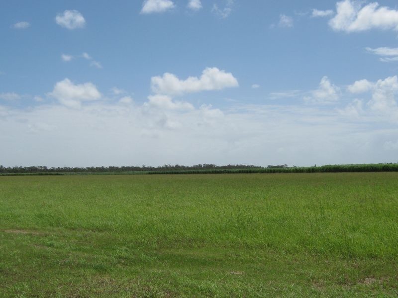 Lot 4 Silky Oak Street, Alloway QLD 4670