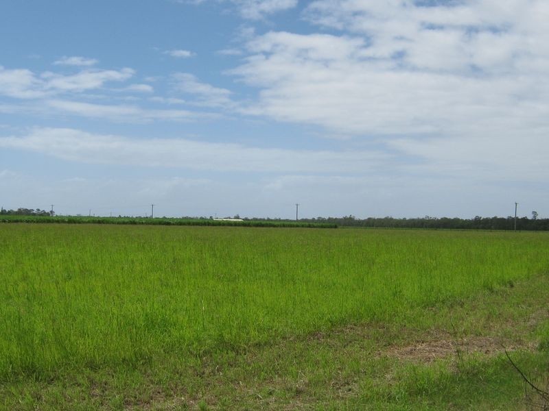 Lot 4 Silky Oak Street, Alloway QLD 4670
