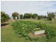 41 Appaloosa Drive, Branyan QLD 4670