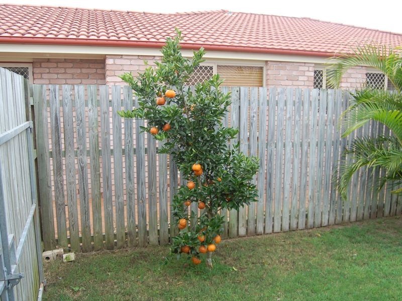 14 Tree Close, Thabeban QLD 4670