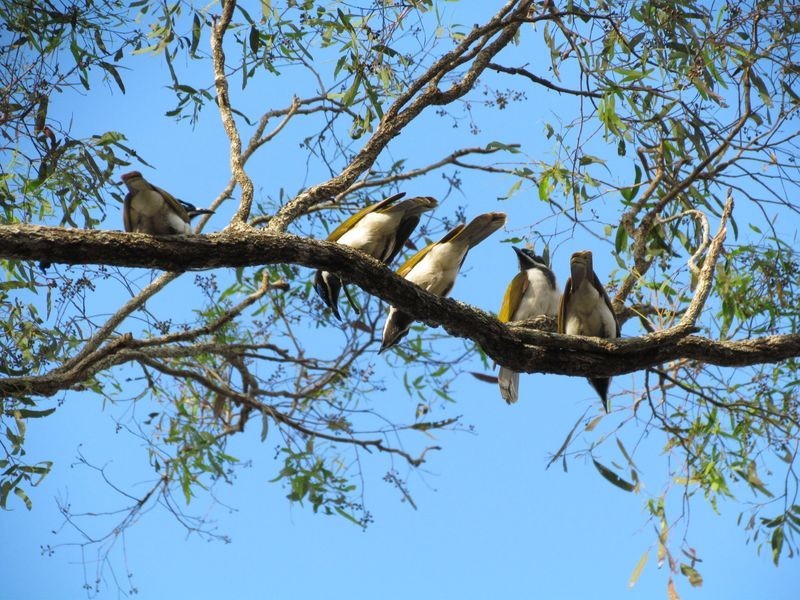 1067 Birthamba Road, Bucca QLD 4670