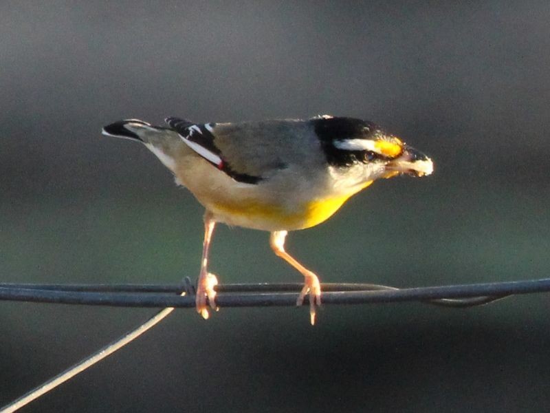 1067 Birthamba Road, Bucca QLD 4670