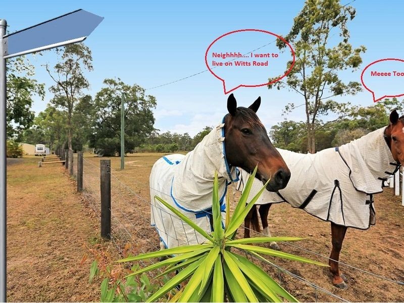 124 Witts Road, Meadowvale QLD 4670