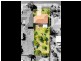 26 Wainwright Street, Svensson Heights QLD 4670