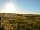 23 Loeskow Street, Bundaberg North QLD 4670