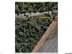Lot 20 Palm Springs Drive, Calavos QLD 4670