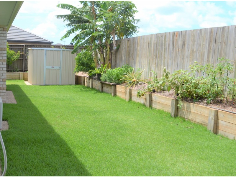 4 Dahlia Court, Kalkie QLD 4670