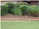 Avoca QLD 4670