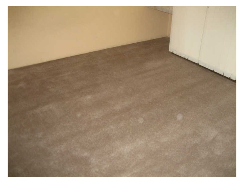 Avenell Heights QLD 4670