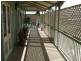 19 Normanby Street, Bundaberg South QLD 4670