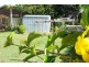 Bundaberg QLD 4670