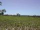 Maude Hill Road, Abbotsford QLD 4670
