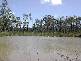 Maude Hill Road, Abbotsford QLD 4670