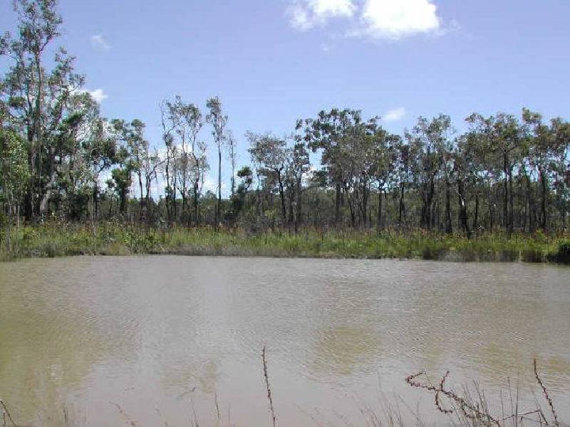 Maude Hill Road, Abbotsford QLD 4670