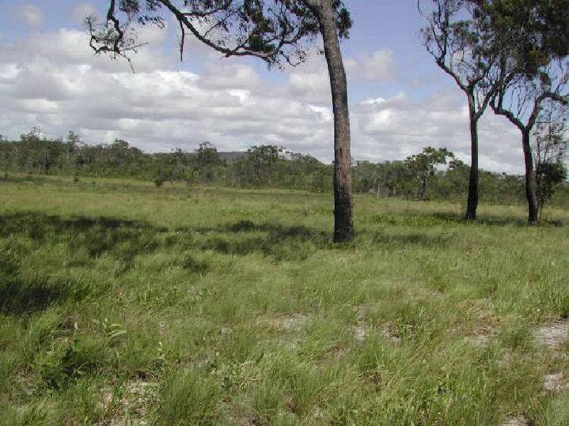 Maude Hill Road, Abbotsford QLD 4670