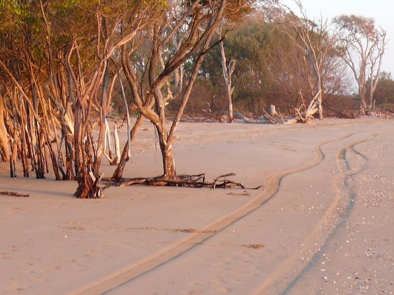 Moore Park Beach QLD 4670