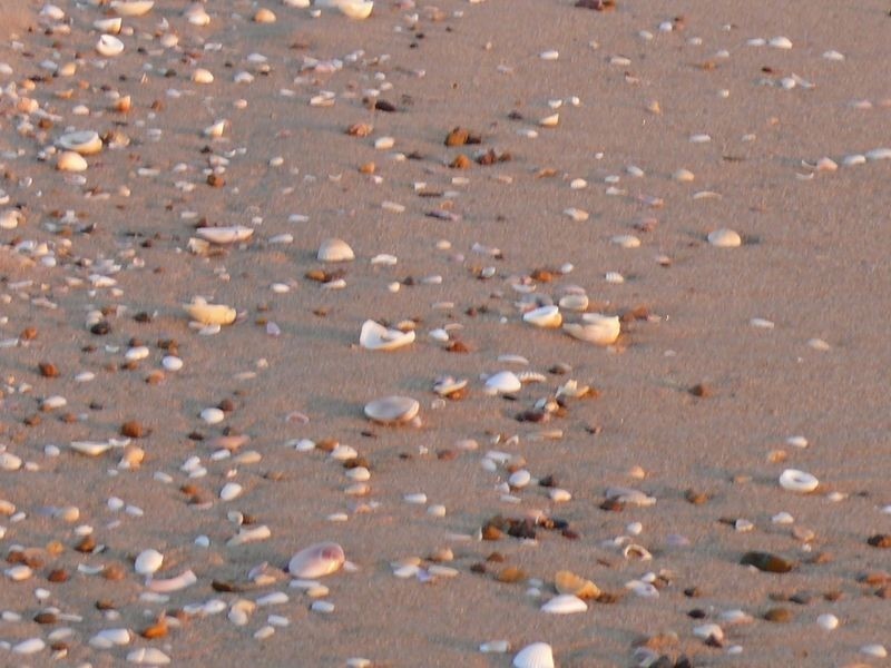 Moore Park Beach QLD 4670