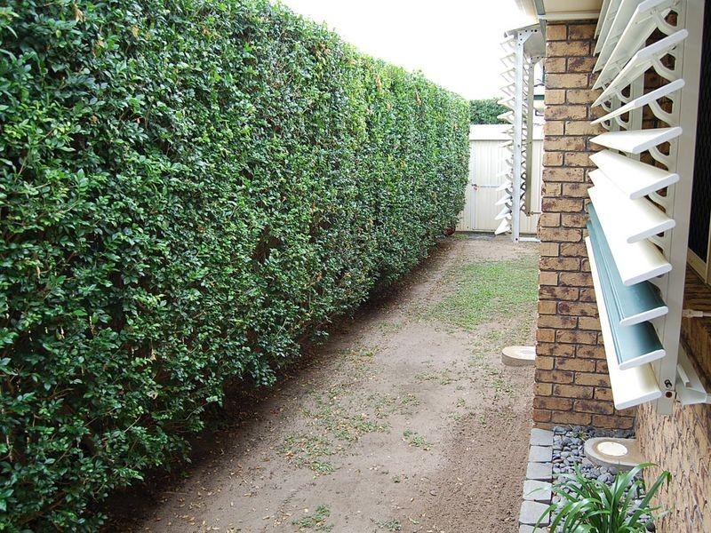 97 Dittmann Road, Avoca QLD 4670