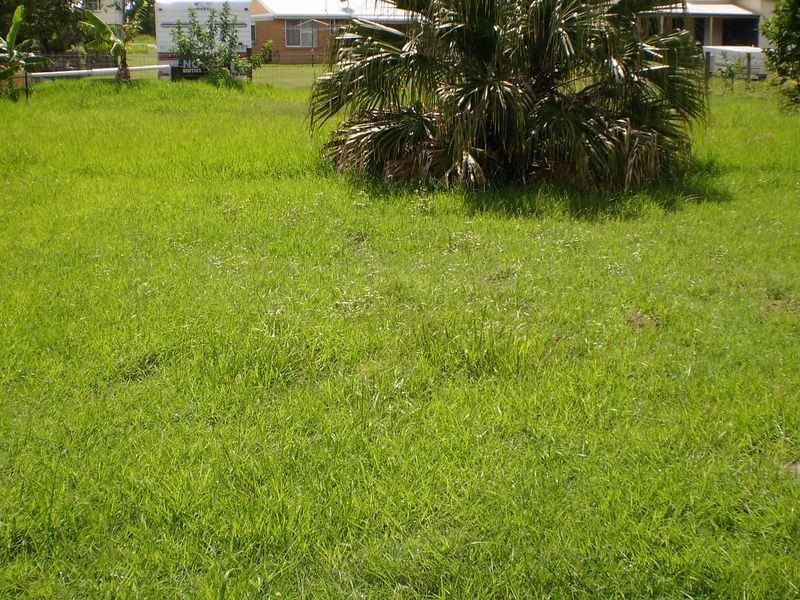 Burnett Heads QLD 4670