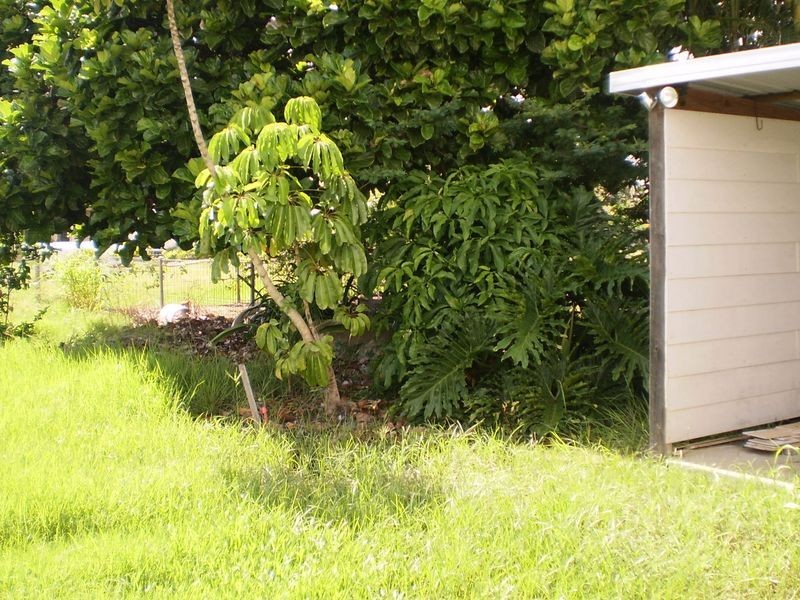 Burnett Heads QLD 4670