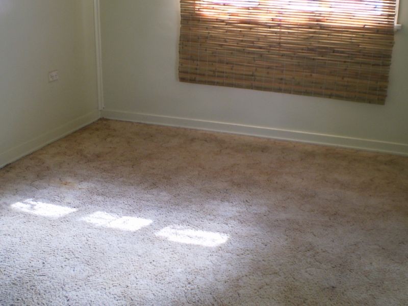 74 Princess Street, Bundaberg East QLD 4670