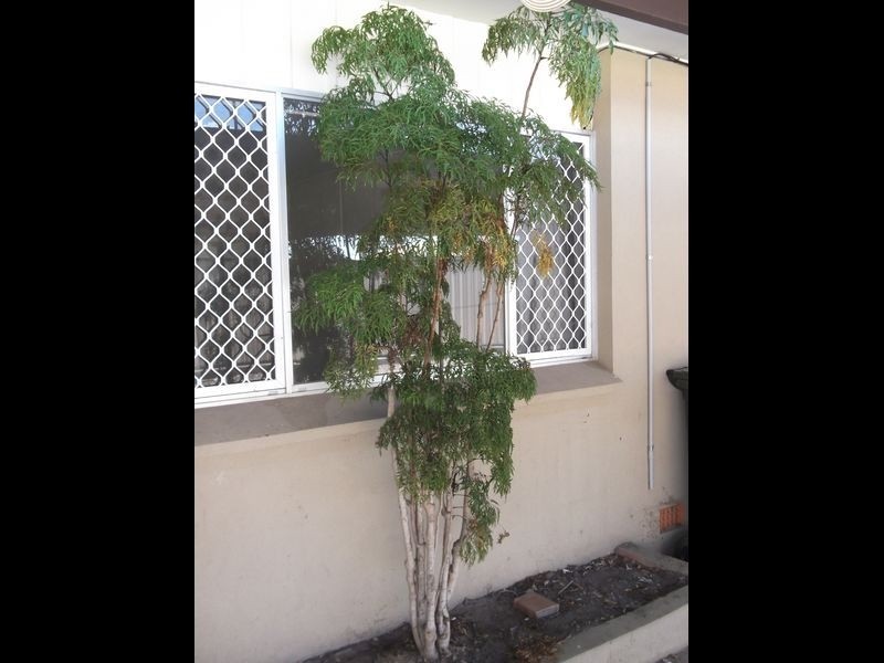 2/85 Woongarra Street, Bundaberg West QLD 4670