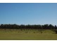 71 Koolboo Road, South Kolan QLD 4670