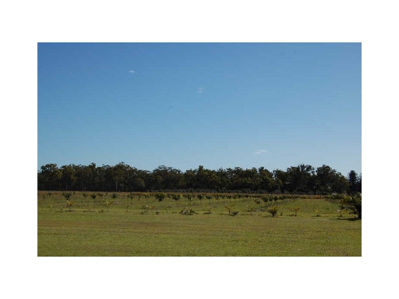 71 Koolboo Road, South Kolan QLD 4670