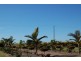 71 Koolboo Road, South Kolan QLD 4670