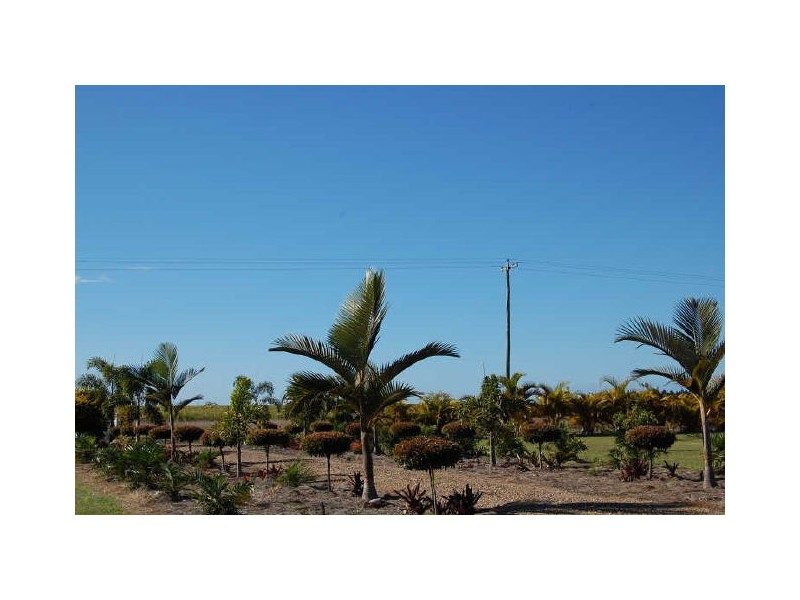 71 Koolboo Road, South Kolan QLD 4670