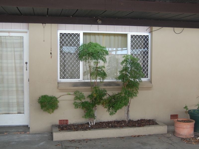 6/85 Woongarra Street, Bundaberg West QLD 4670