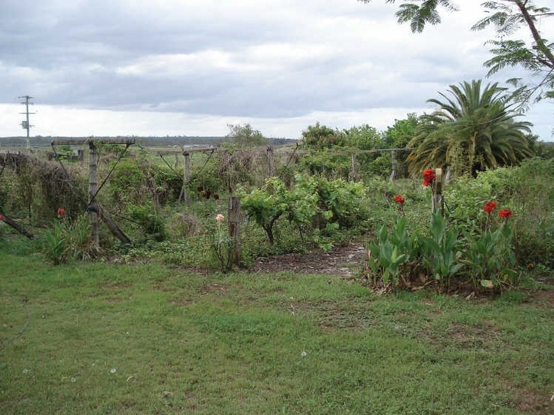 109 Zillmann Road, Wallaville QLD 4671
