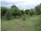 109 Zillmann Road, Wallaville QLD 4671