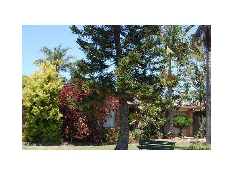 14 Clive Crescent, Kepnock QLD 4670