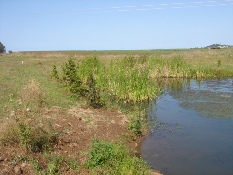 Lot 1/117 Presslers Road, Rubyanna QLD 4670