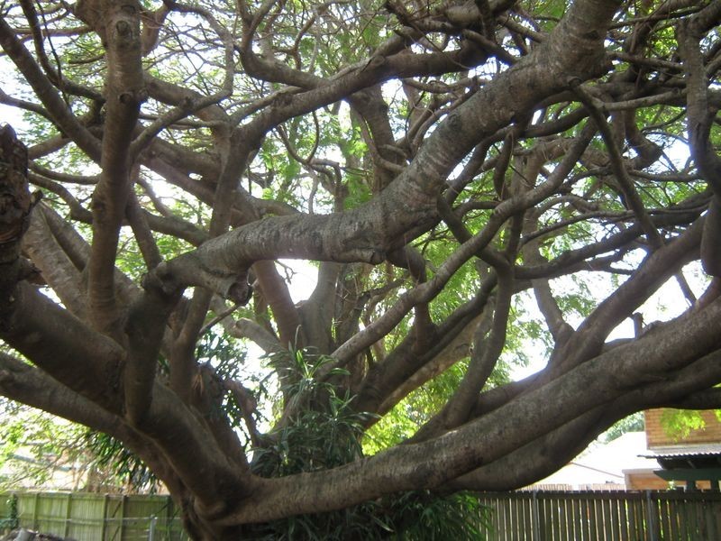 61A Burnett Street, Bundaberg South QLD 4670