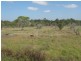 Branyan QLD 4670